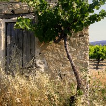 7 days in Provence Alain Hocquel - CDT Vaucluse