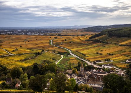 Burgundy landscape