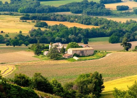 Provence landscape