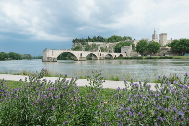 Avignon bridge