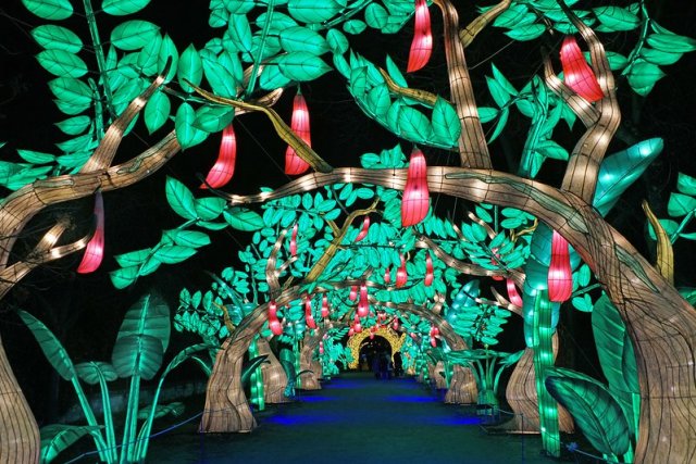 Christmas lights at the Jardin des Plantes in Paris