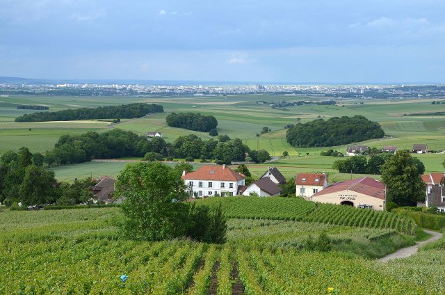 La Montagne de Reims in Champagne