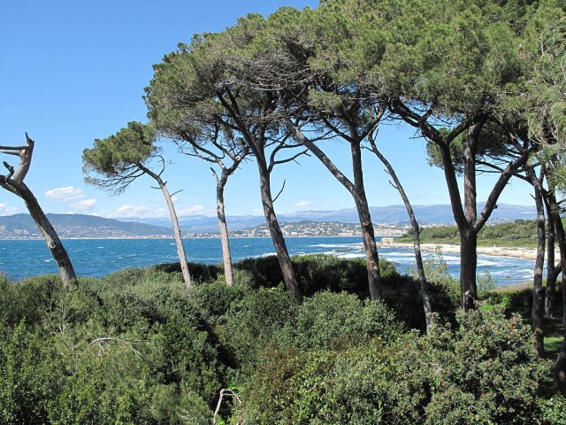 Lérins Islands, Ile Sainte Marguerite