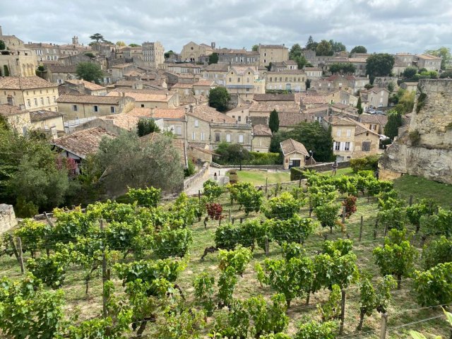 Saint Emilion town and vineyard in Bordeaux region