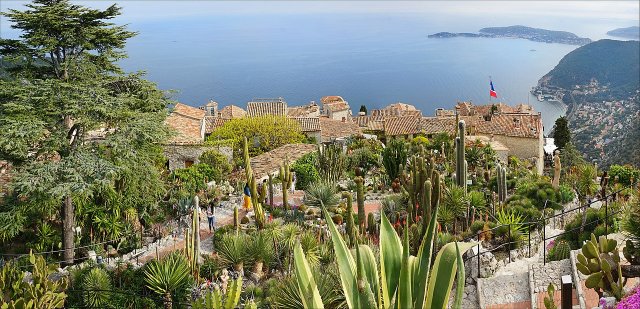 A view from higher up of the exotic botanical garden in Eze. You can see cactuses and succulents in the garden, and in the background there's a view of the sea and the French Riviera.