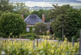 ...in the heart of the Champagne vineyards