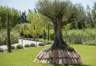 At the gates of Luberon and near Avignon