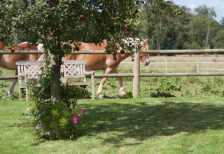 After a day visiting, relax in the Norman countryside