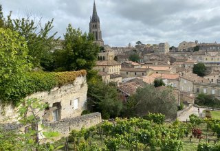 Saint Emilion town and vineyard