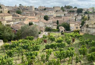 Saint Emilion town and vineyard