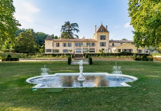 Wine estate in Saint Emilion