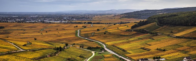 Burgundy landscape