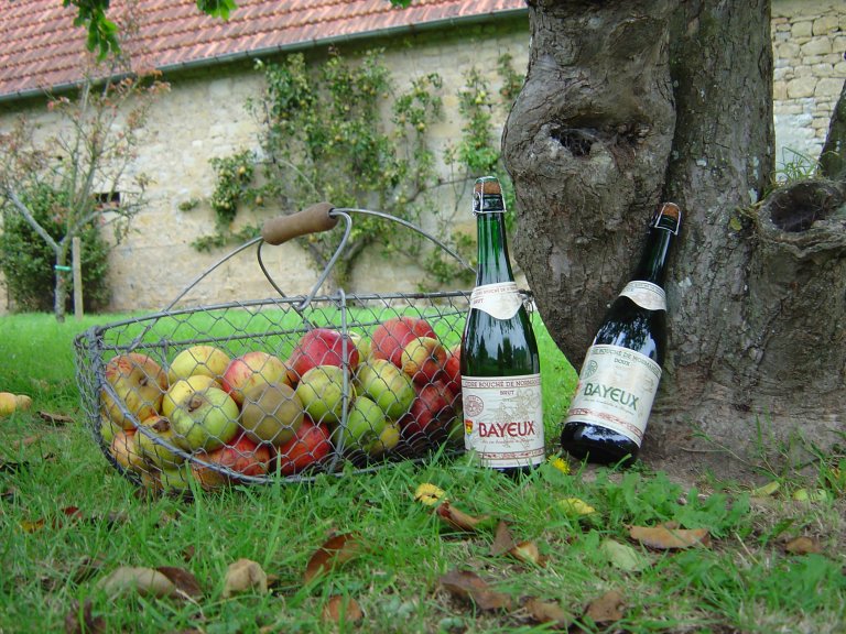 Make your own Calvados at Chateau du Breuil – Normandy Tourism, France