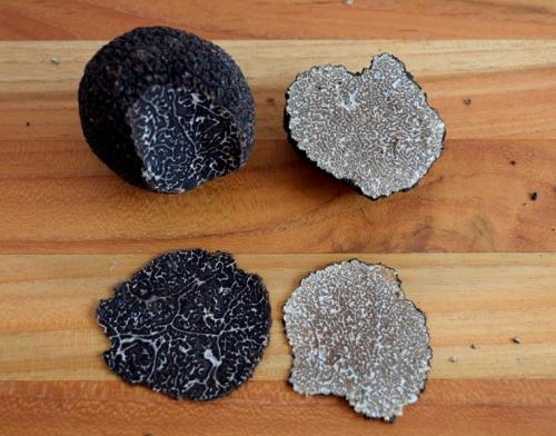 Truffle hunting in France - France Just For You